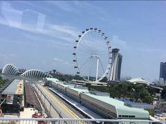 -詹爷爷乌节路街头冰淇淋