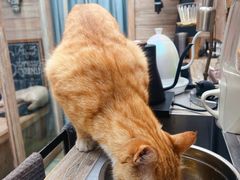 -Vanillacafe香草咖啡(银海大世界店)