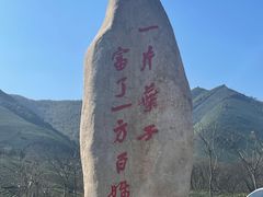 -白茶原·一片叶子