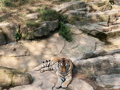 -大连森林动物园