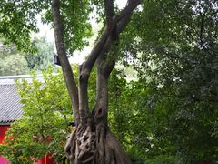 -成都武侯祠博物馆