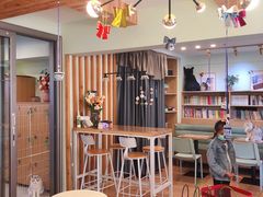 大堂-MOYOYO猫咪咖啡店