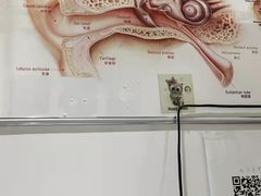 -自然之声助听器·呼吸机(贵定店)