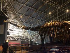 -世界恐龙谷景区