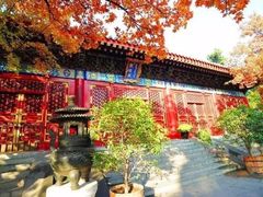 -香山公园
