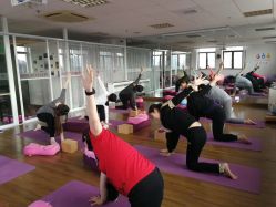 点击看大图 -爱尔乐美孕产瑜伽·普拉提