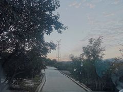 -原山国家森林公园