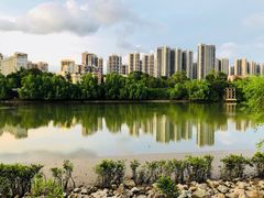 -大亚湾红树林城市湿地公园