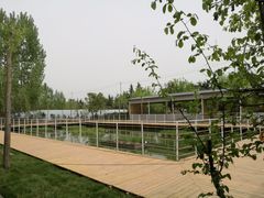 -午后庭院