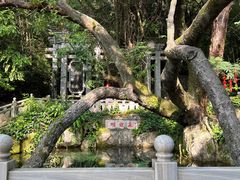 -蝴蝶泉公园