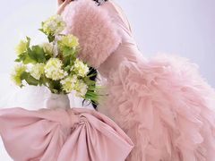 -吉田美学化妆美甲摄影培训(宁波校区)