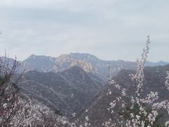 -何适山庄 ·可团建(水长城P2停车场店)