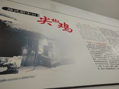 -陈有良尖椒鸡(渝中示范店)