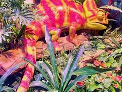 -正佳雨林生态植物园