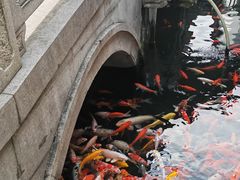 -西林禅寺