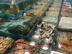 -明记海鲜大排档(巽寮湾店)