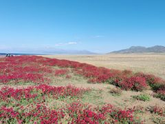 -赛里木湖风景名胜区