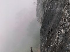 -武陵山森林公园