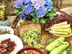 -田园印象·成都土菜院子(华阳店)