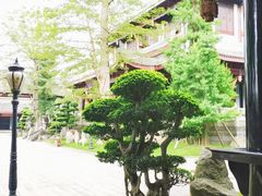 -乐山乌木文化博览苑