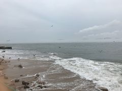 -海驴岛(荣成市)