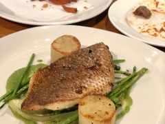 -New Zealand Unlimited Restaurant
