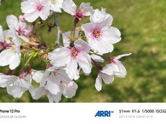 -花开海上生态园