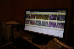 -菩叶头皮抗衰养发护发