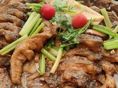 -老板恋上鱼(恒隆广场店)