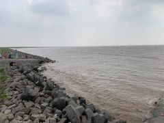 -南汇新城海滩
