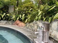 -剑河仰阿莎温泉小镇