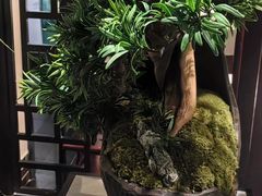 -徽州小镇(高新店)