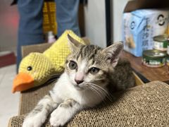 -海底捞火锅(创意园店)