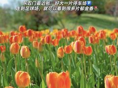 -朝阳公园