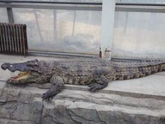 -石家庄极地海洋世界