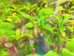 -北京植物园-展览温室