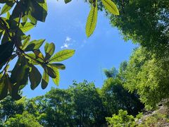 -武夷山风景名胜区-虎啸岩