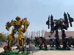 -上海长兴岛郊野公园