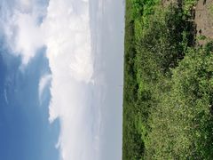 -北海金海湾红树林生态旅游区