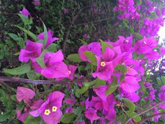 邛海湿地公园-西昌邛海湿地