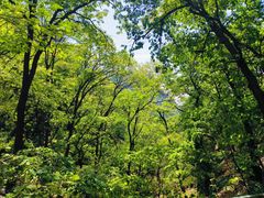 -北京上方山国家森林公园