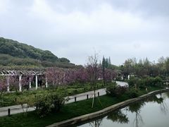 -苏州上方山国家森林公园