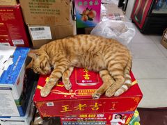-玉华饮食店(茅台路店)