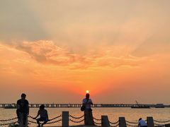 -宝安西湾红树林湿地公园