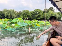-西湖游船