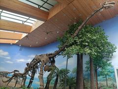 -延庆地质公园博物馆