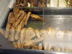 -嘎嘎鸭脑壳(蜀汉路店)