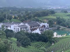 -帐篷客·溪龙茶谷度假酒店