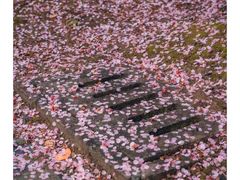 -白塘生态植物园