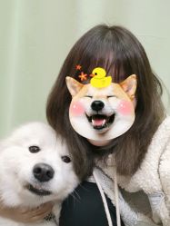 -E·JOY 印觉